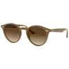 Ocean Sunglasses Lunettes De Soleil Polarisées Queens