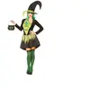 RueDeLaFete Costume avec Chapeau - Sorcière Verte Taille : M/L - 40/42