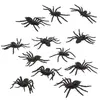 ATOSA sachet araignées noires halloween 12 unités