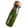 PETIT BOUM Bouteille sensorielle - Son - Coccinelles