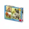 Dino 3 Puzzles - Famille