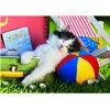 Pièces XXL - La Sieste du Chaton 100 Pièces  Dino