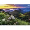 Dino Puzzle 500 pièces : Malá Fatra