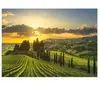 Puzzle 500 pièces XL : Vignobles de la Maremme