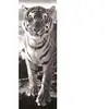 Dino Toys 545434 Puzzle panoramique Tigre 1000 pièces