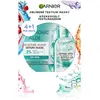 Garnier Skin Naturals masque visage