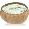 Tropikalia Bougie noix de coco - arôme citron vert, basilic et mandari...