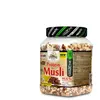 Amix Muesli Protéiné Banane Et Chocolat 500gr One Size