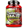 Amix CarboJet Mass Professional goût chocolat (1.8 kg)