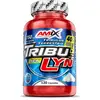 Amix Casquettes Tribulyn 40% Anabolic Naturel 120 Unités One Size