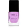 Gabriella Salvete Longlasting Enamel vernis à ongles longue tenue brillance intense teinte 13 Lavender 11 ml