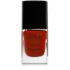 Gabriella Salvete Longlasting Enamel vernis à ongles longue tenue brillance intense teinte 26 Chilli 11 ml