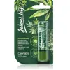 Regina Cannabis pommade 4.5 g