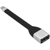 Adaptateur USB C vers DisplayPort i-Tec C31FLATDP60HZ Noir