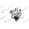 Pompe D'Injection Haute Pression Remante 002002001162r