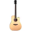 Furch Green Dc-TR a Dreadnought guitare électro-acoustique folk avec h...
