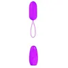Bswish Bnaughty Unleashed Classic Rose Télécommande 1ut