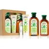Green Pharmacy Herbal Care coffret cadeau pour cheveux normaux