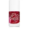 Pastel Lip To Cheek Tint blush liquide lèvres et joues teinte 01 Carme...