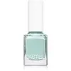 Pastel vernis à ongles 313