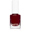 Pastel Nail Polish vernis à ongles teinte 33 13 ml