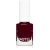 Pastel Nail Polish vernis à ongles teinte 39 13 ml