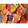 Magnolia Puzzle 1000 pièces : Feuilles colorées