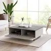 Homitis - Table basse LV17-GT argenté/anthracite - 90x31.6x60 cm T.U