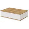 Vente-unique - Table Basse avec 2 Portes - Naturel et Blanc - LOTULA