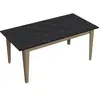 BOBOCHIC Menzzo Table à Manger Quiver 180cm Bois Naturel et Noir Effet marbre