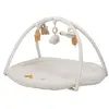 Tapis d'activités avec arches Newborn