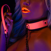 Taboom Collar and Chain Leash