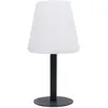 Smartwares Lampe solaire de table LED OSL-50012 Batterie et câble USB
