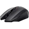 Trust GXT 115 Macci souris Ambidextre RF sans fil Optique 2400 DPI