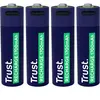 Batteries Trust 25631 