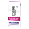 12kg Dermatosis Eukanuba Veterinary Diet - Croquettes pour chien