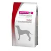 5kg Adult Intestinal Veterinary Diets Eukanuba Croquettes pour chien