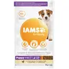 lAMS IAMS Advanced Nutrition Puppy Small & Medium poulet pour chiot - 3 kg