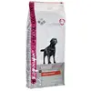 Eukanuba Chien Nourriture sèche Labrador Retriever Poulet 12kg