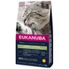 Eukanuba Nourriture Pour Chats Avec Contrôle Des Boules De Poils 2 Kg