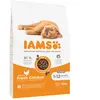 Iams for Vitality Kitten Fresh chicken - croquettes pour chat - 10 kg