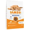10kg IAMS for Vitality Adult Sterilised poulet - Croquettes pour chat