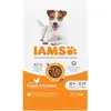 Iams Dog Mature & Senior - 5 kg