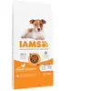 IAMS Advanced Nutrition Puppy Small & Medium poulet pour chiot - 12 kg
