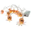 Home & Style Guirlande lumineuse EDM - esprit de Noël - 2,5m - lumière chaude - 10 ampoules LED - 71311