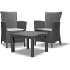 Allibert Salon de jardin ROSARIO 2 places imitation resine tressee - Gris