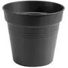 ELHO Pot De Culture Green Basics D.21cm Couleur Living Noir