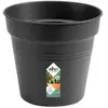 Elho Pot de culture Green basics 15 cm living noir