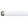 Philips TL-D 18W/840 G13 coolwhite - Lampes fluorescentes, socle G13