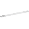 Philips Lamp dine tube neon t26 15w 45cm attacco g13 attinic coloration 1510n
